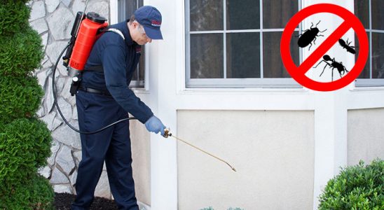 Datça Böcek İlaçlama böcek ilaçlama ve haşere kontrolü — ilaclama-tr.com